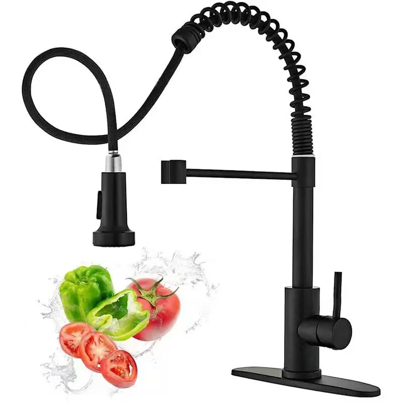 Paslanmaz çelik mutfak musluğu - Kitchen Appliances White incelemesi ve fiyatı